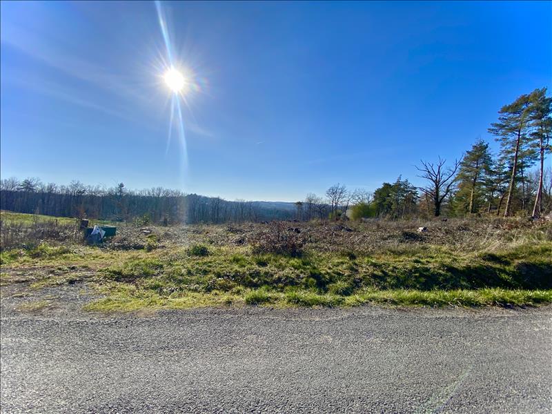 Vente Terrain BRIVE LA GAILLARDE - -1333 m² - (19100)