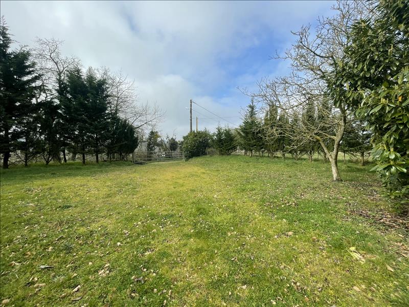 Vente Parking DREVANT - - 1 350 m² - (18200)