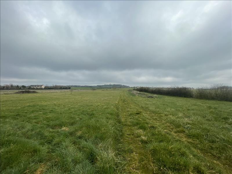 Vente Parking DREVANT - - 1 350 m² - (18200)