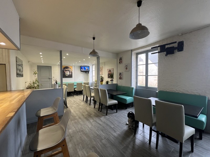 Vente Immeuble MEILLANT - 5 pièces -  310 m² - (18200)