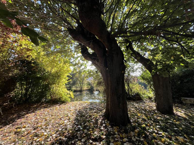 Vente Maison ST AMAND MONTROND - 11 pièces -222 m² - (18200)