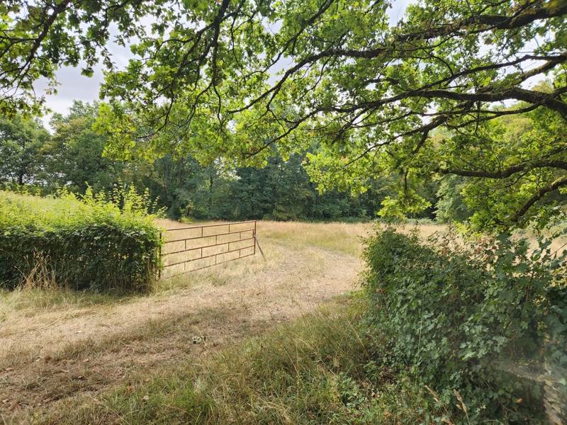 Vente Maison THAUMIERS - 4 pièces -77 m² - (18210)