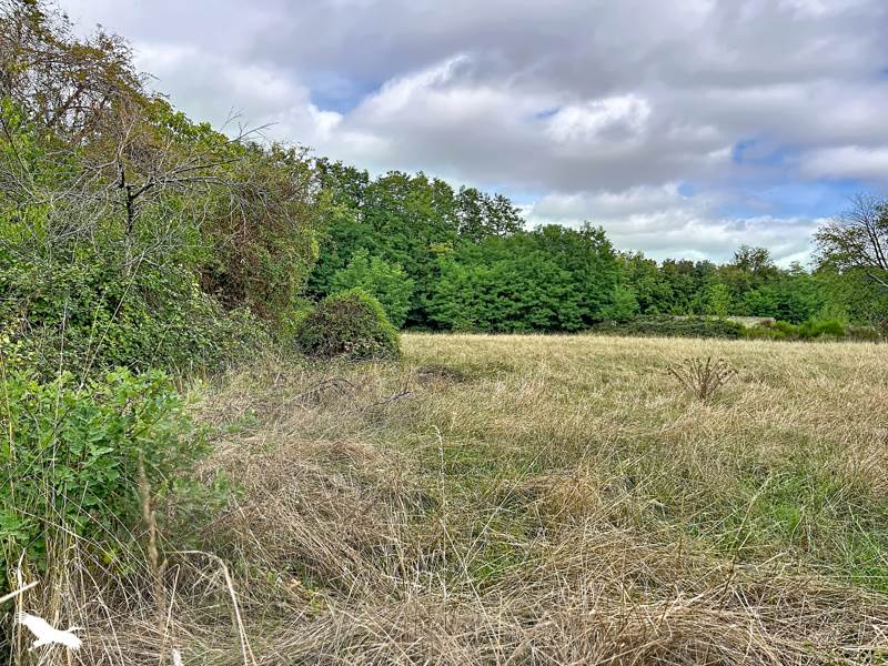 Vente Maison Charenton-du-Cher - 4 pièces -96 m² - (18210)