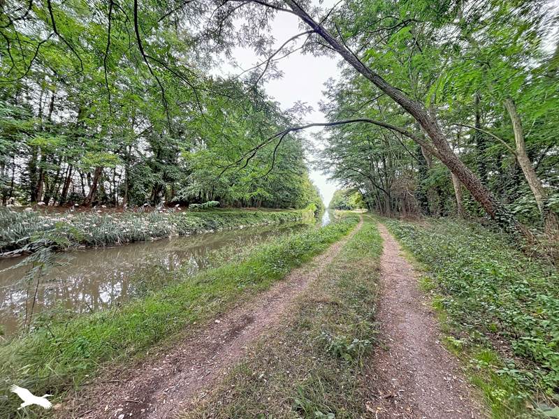 Vente Maison Charenton-du-Cher - 4 pièces -96 m² - (18210)