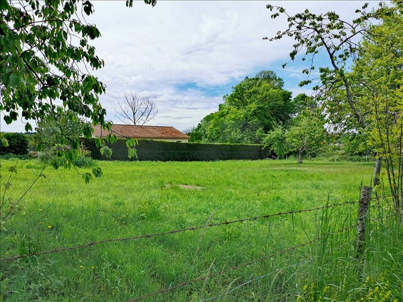 Vente Terrain JANAILHAC - -2220 m² - (87800)