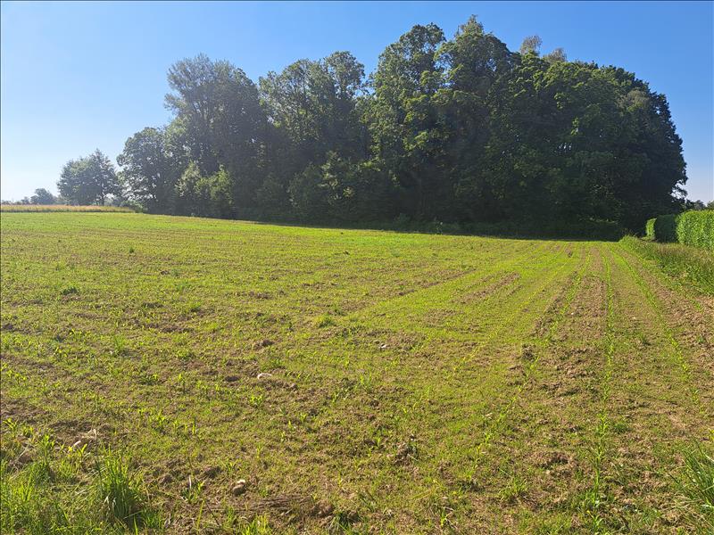 Vente Terrain SARLANDE - -2400 m² - (24270)