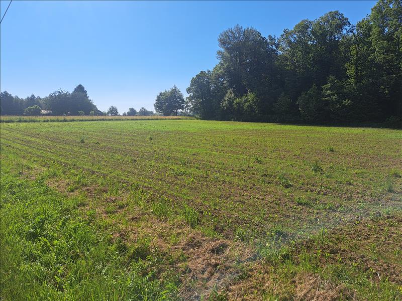 Vente Terrain SARLANDE - -2400 m² - (24270)