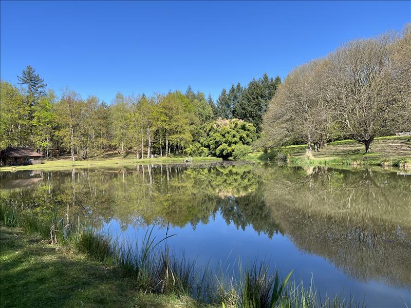 Vente Maison ST YRIEIX LA PERCHE - 1 pièce -35 m² - (87500)