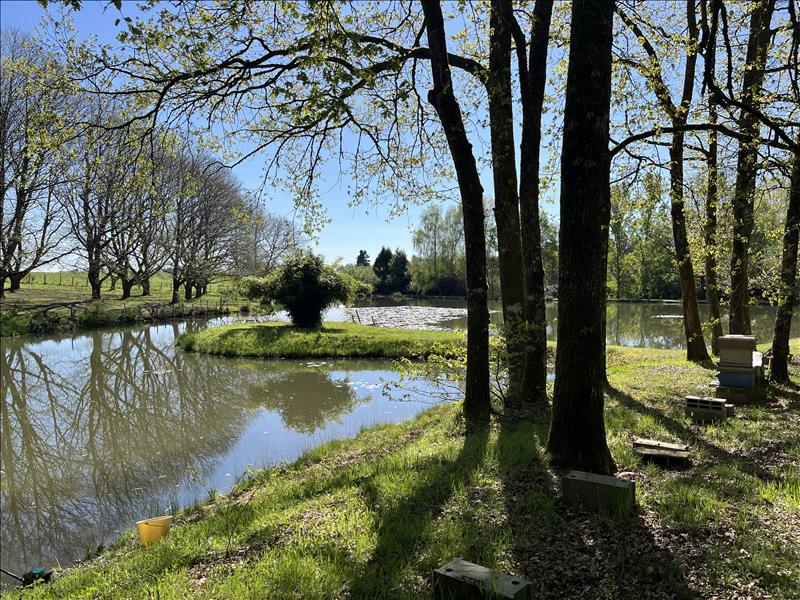 Vente Maison ST YRIEIX LA PERCHE - 1 pièce -35 m² - (87500)