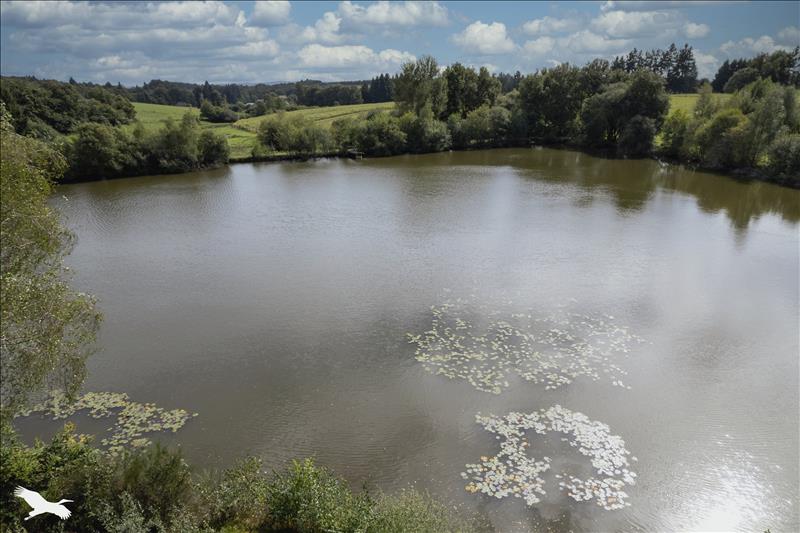 Vente Maison ST YRIEIX LA PERCHE - 1 pièce -39 m² - (87500)