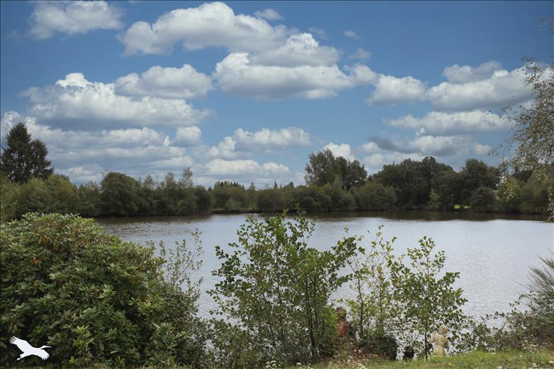 Vente Maison ST YRIEIX LA PERCHE - 1 pièce -39 m² - (87500)