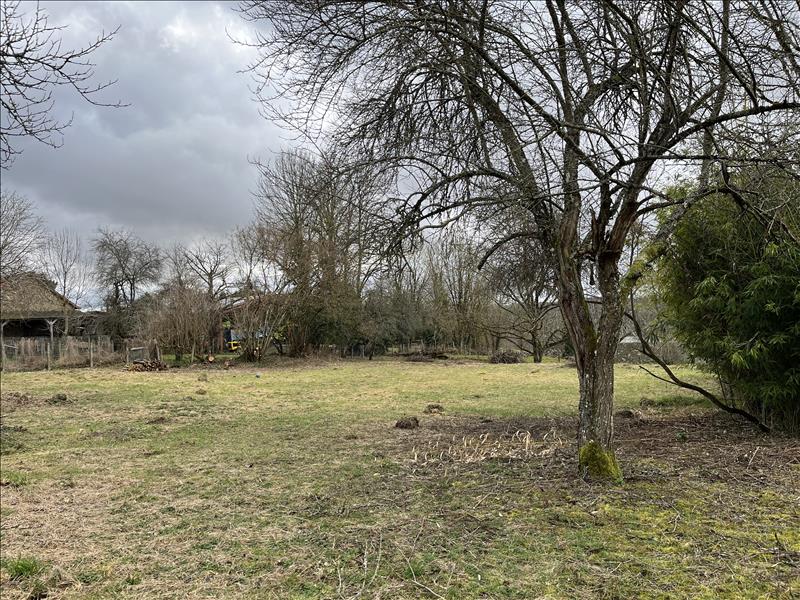 Vente Terrain GLANGES - -1247 m² - (87380)