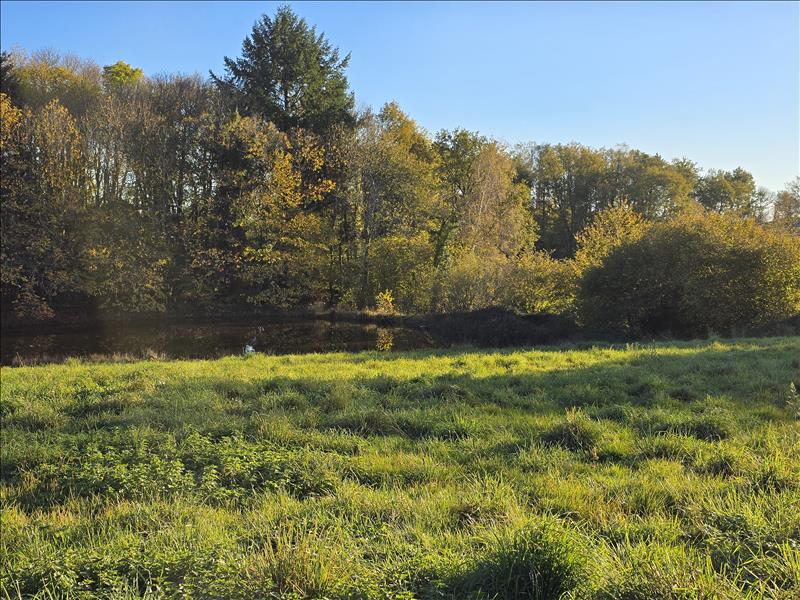 Vente Maison LADIGNAC LE LONG - 2 pièces -76 m² - (87500)