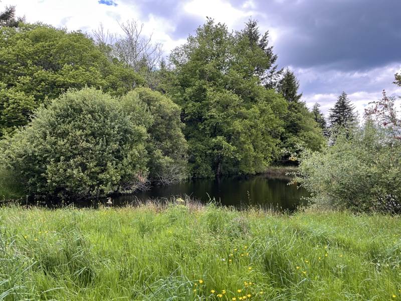 Vente Maison JUMILHAC LE GRAND - 2 pièces -63 m² - (24630)