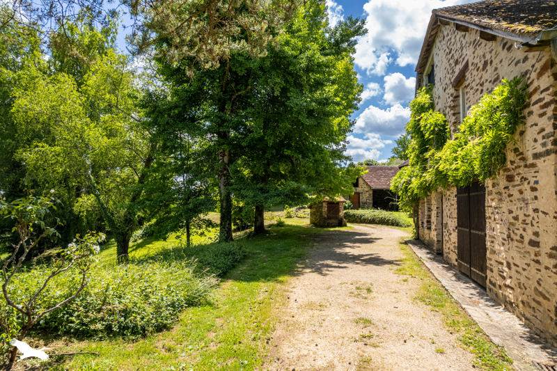 Vente Maison PAYZAC - 18 pièces -445 m² - (24270)