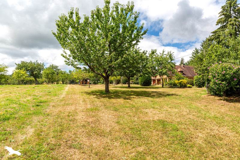 Vente Maison JANAILHAC - 7 pièces -301 m² - (87800)