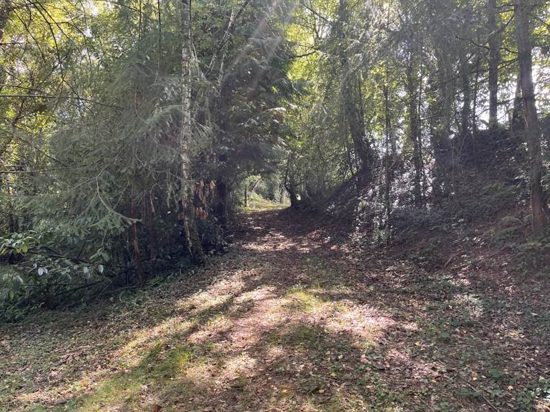 Vente Terrain JUMILHAC LE GRAND - -18480 m² - (24630)