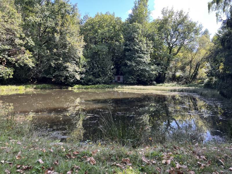 Vente Terrain JUMILHAC LE GRAND - -18480 m² - (24630)