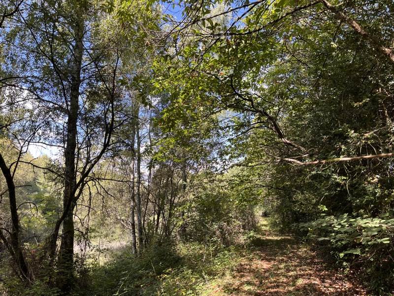 Vente Terrain JUMILHAC LE GRAND - -18480 m² - (24630)