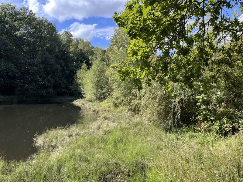 Vente Terrain JUMILHAC LE GRAND - -18480 m² - (24630)