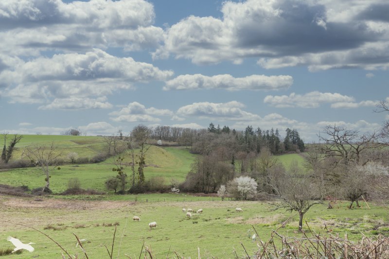 Vente Maison ST JEAN LIGOURE - 4 pièces -122 m² - (87260)