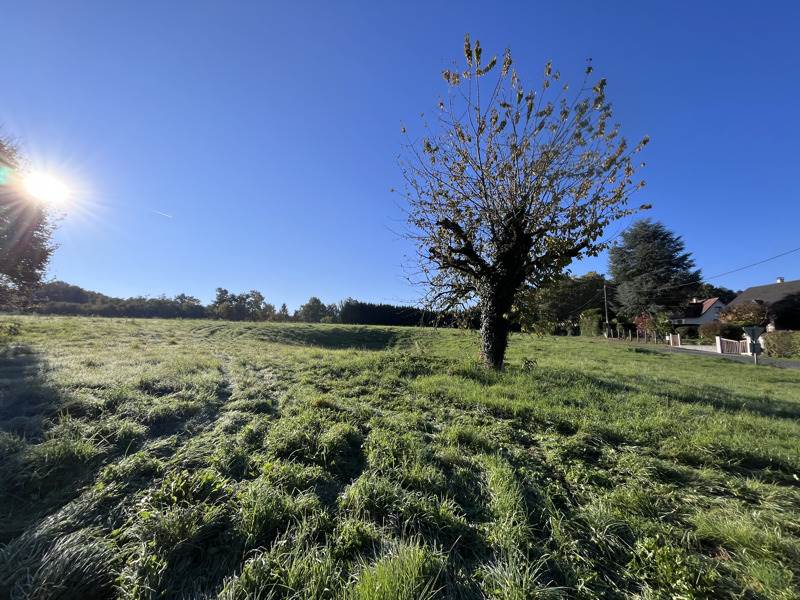 Vente Maison ST YRIEIX LA PERCHE - 1 pièce -270 m² - (87500)