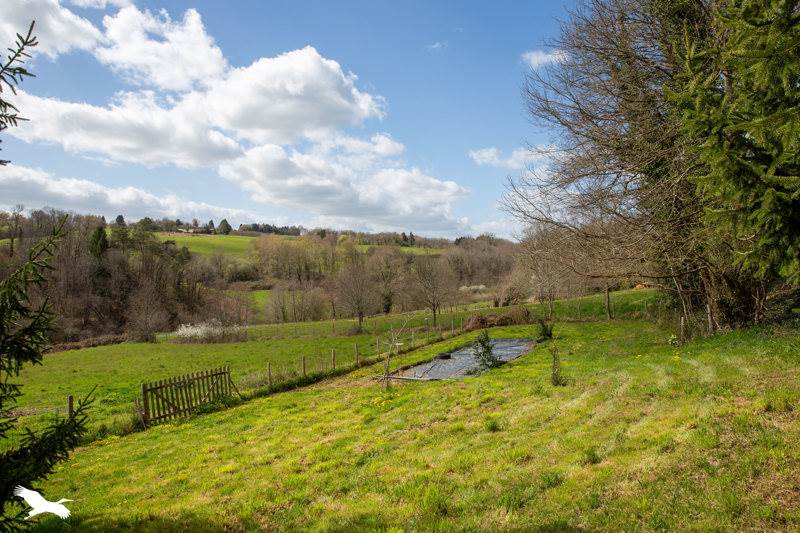 Vente Maison SARLANDE - 7 pièces -195 m² - (24270)