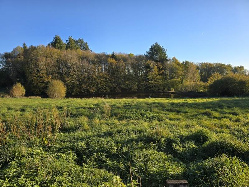 Vente Maison LADIGNAC LE LONG - 2 pièces -76 m² - (87500)