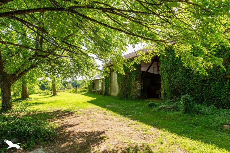 Vente Maison PAYZAC - 9 pièces -220 m² - (24270)