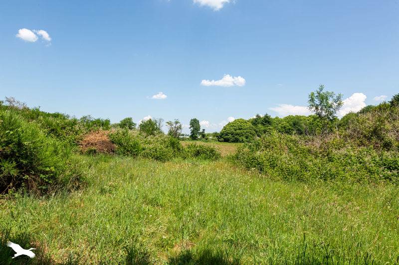 Vente Maison ST YRIEIX LA PERCHE - 4 pièces -175 m² - (87500)