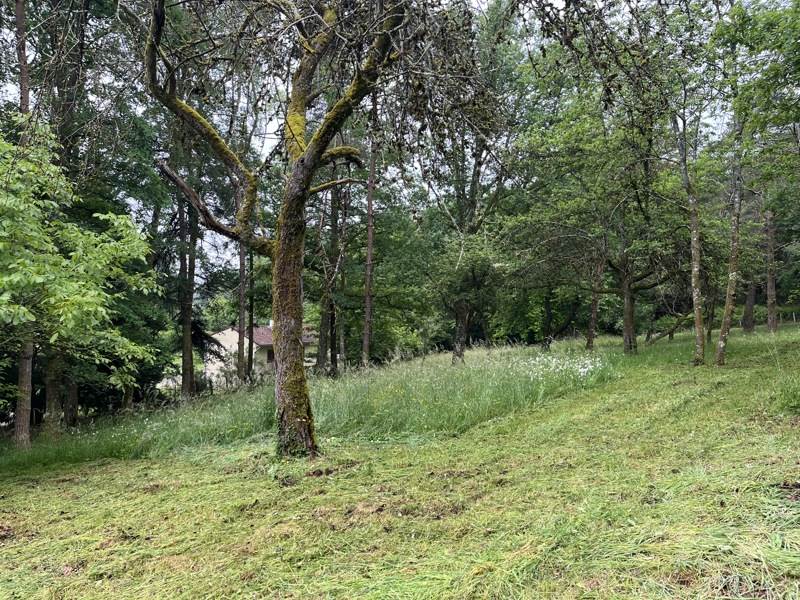 Vente Maison LADIGNAC LE LONG - 3 pièces -65 m² - (87500)