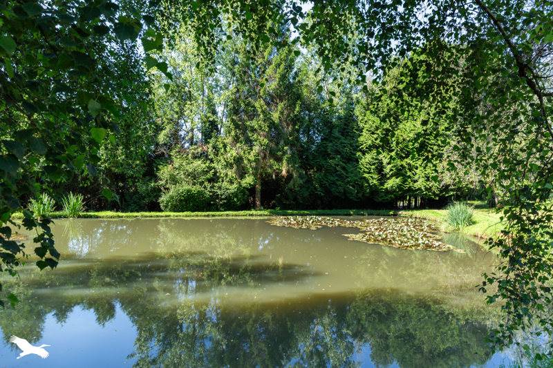 Vente Maison ST YRIEIX LA PERCHE - 6 pièces -192 m² - (87500)