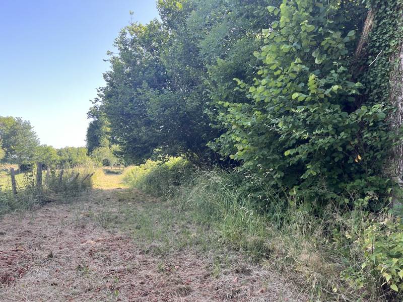 Vente Maison Château-Chervix - 2 pièces -45 m² - (87380)