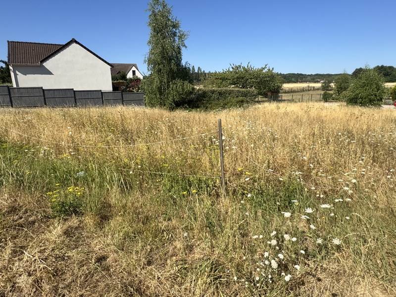 Vente Terrain MEDAN - -1000 m² - (78670)