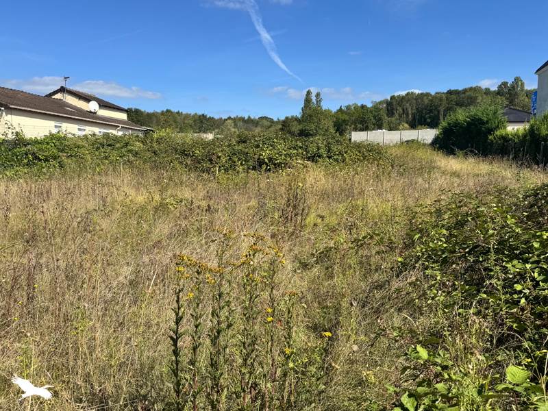 Vente Terrain Orgeval - -1908 m² - (78630)