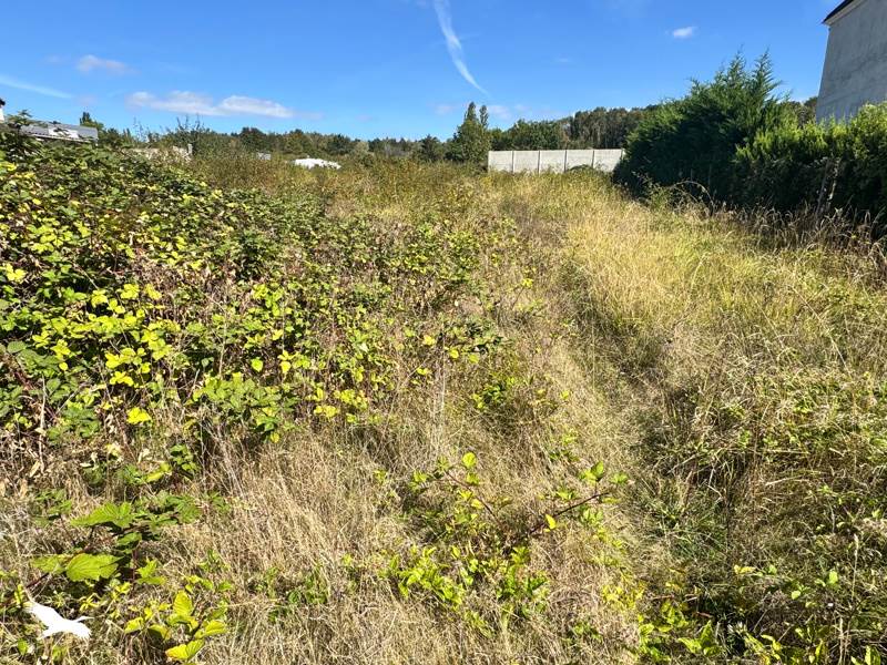 Vente Terrain Orgeval - -1908 m² - (78630)
