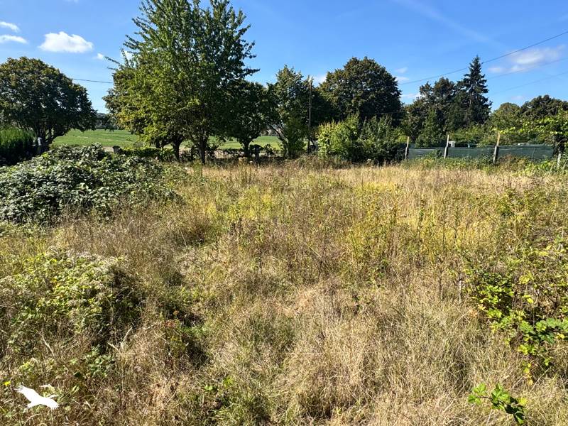 Vente Terrain Orgeval - -1908 m² - (78630)