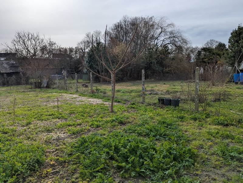 Vente Maison CINQ MARS LA PILE - 3 pièces -66 m² - (37130)