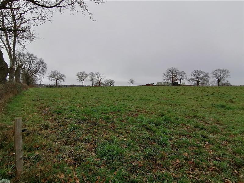 Vente Terrain ST GENEST - -2737 m² - (03310)