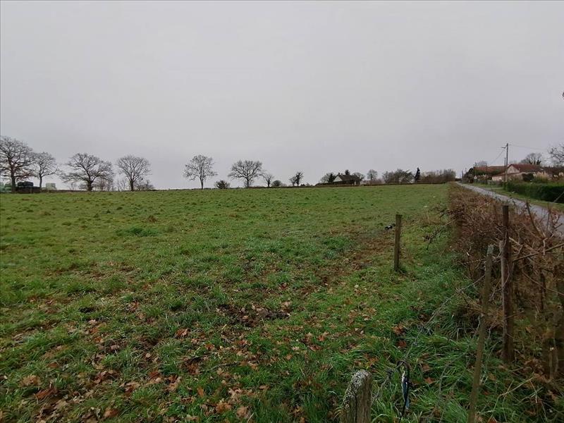 Vente Terrain ST GENEST - -2737 m² - (03310)
