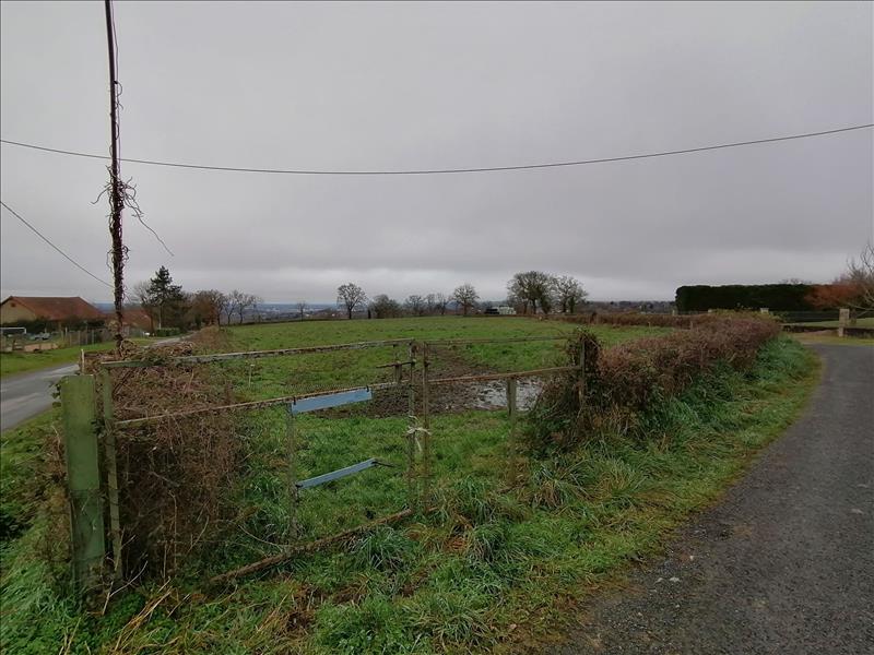 Vente Terrain ST GENEST - -2165 m² - (03310)