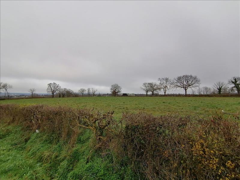 Vente Terrain ST GENEST - -2785 m² - (03310)