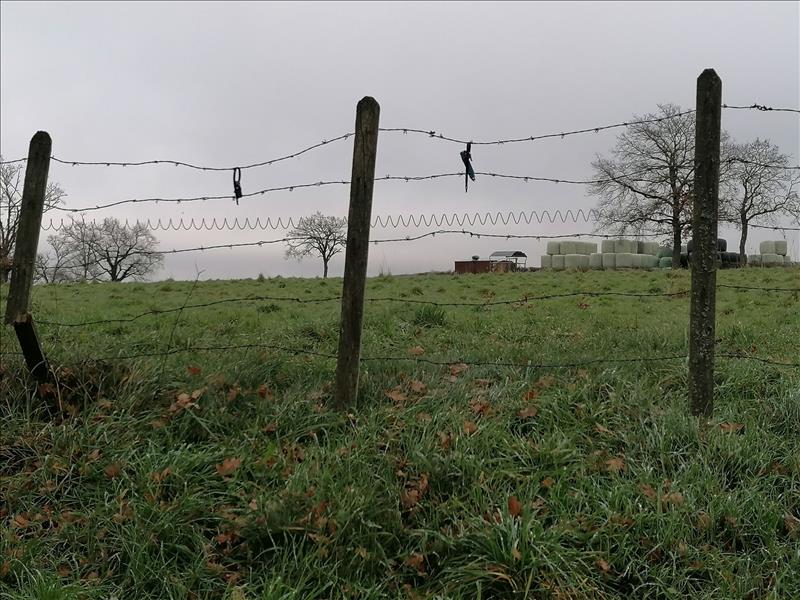 Vente Terrain ST GENEST - -2785 m² - (03310)