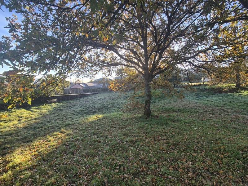 Vente Terrain MONTLUCON - -2283 m² - (03100)