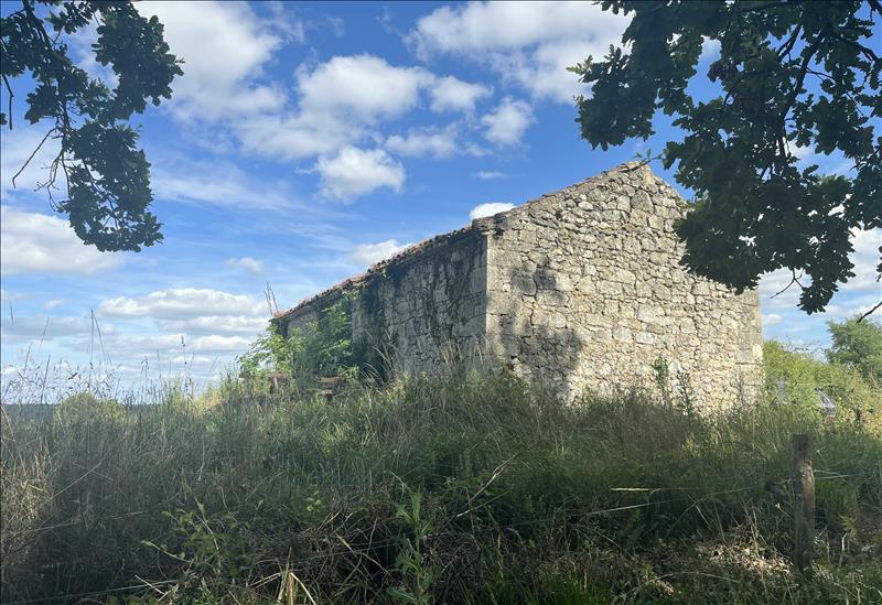 Vente Grange MONTAGNAC SUR AUVIGNON - 1 pièce -70 m² - (47600)
