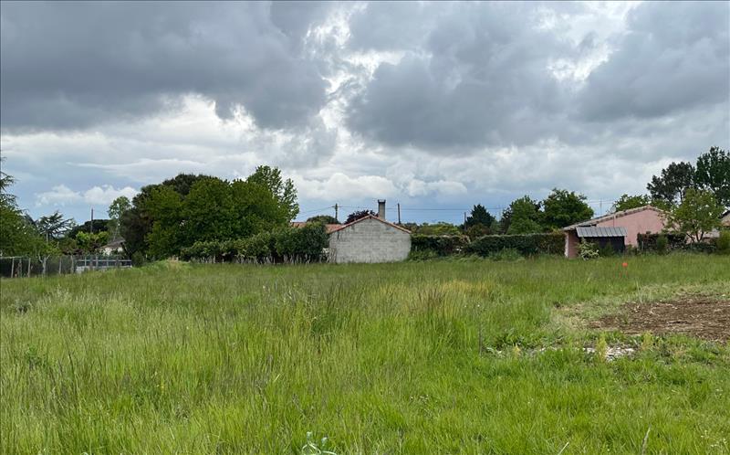 Vente Terrain TONNEINS - -1439 m² - (47400)