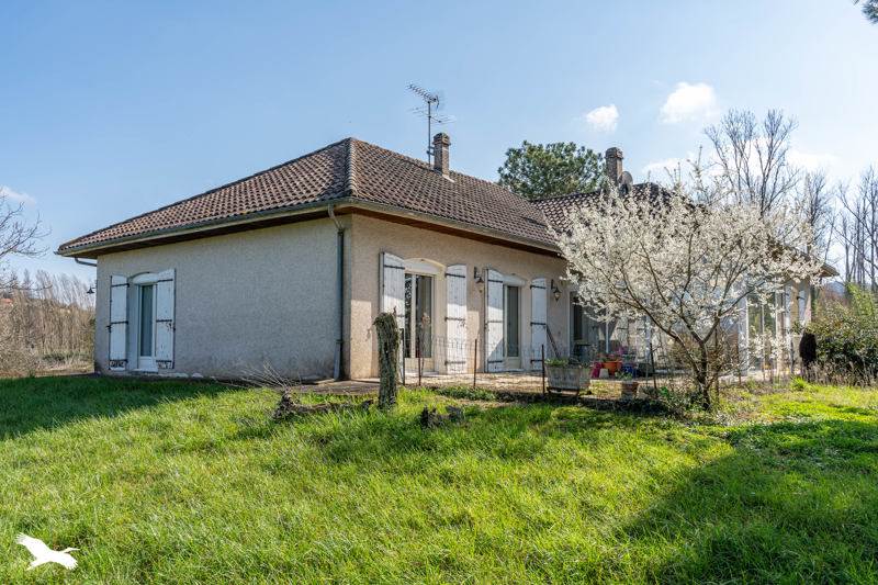 Vente Maison TONNEINS - 5 pièces -292 m² - (47400)
