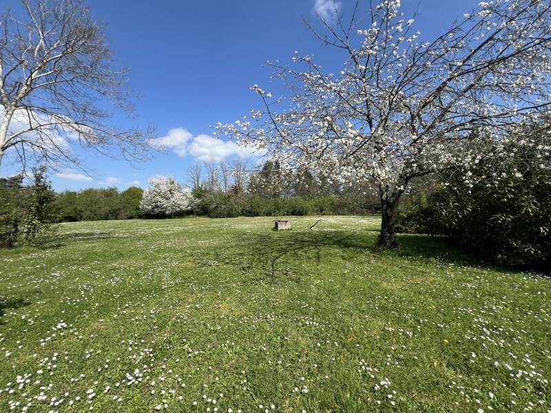 Vente Maison TONNEINS - 6 pièces -250 m² - (47400)