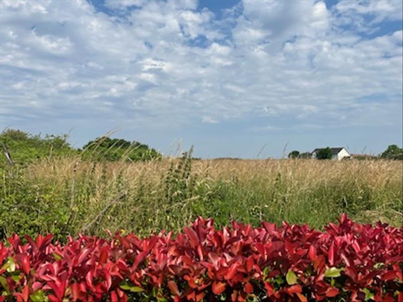 Vente Terrain ST SENOCH - -16170 m² - (37600)