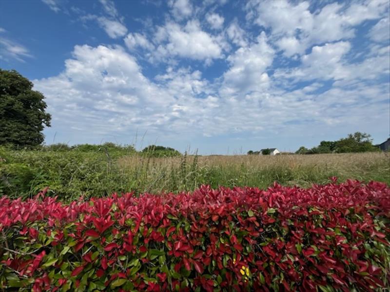 Vente Terrain ST SENOCH - -16170 m² - (37600)